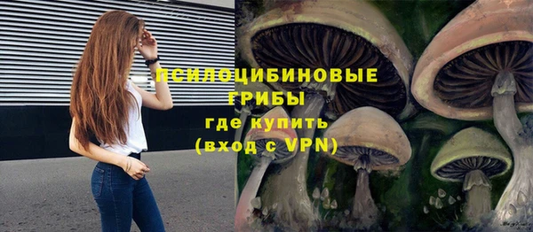 бошки Балахна