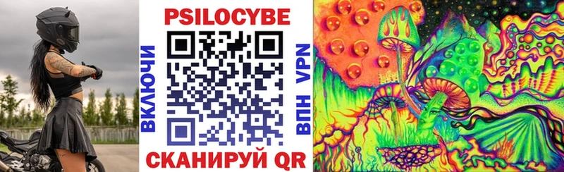 Псилоцибиновые грибы Psilocybe  Шарья 